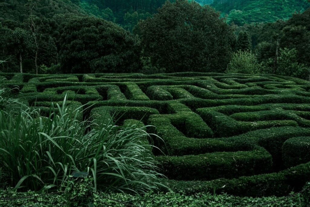 Photo labyrinthe